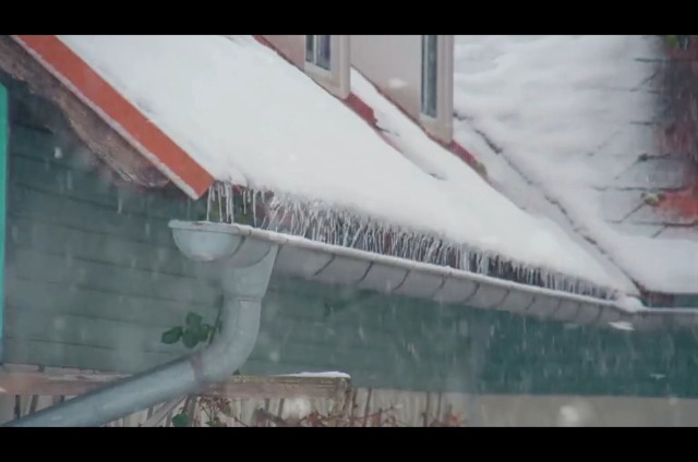 ●HEAT Heat tape, 100FT Deicing Heating Cable,Pipe (Metal And